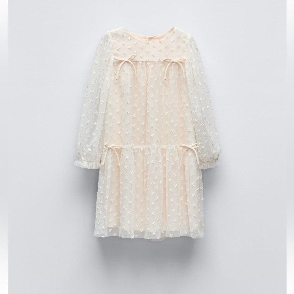 Zara Kids Embroidered Tulle Dress